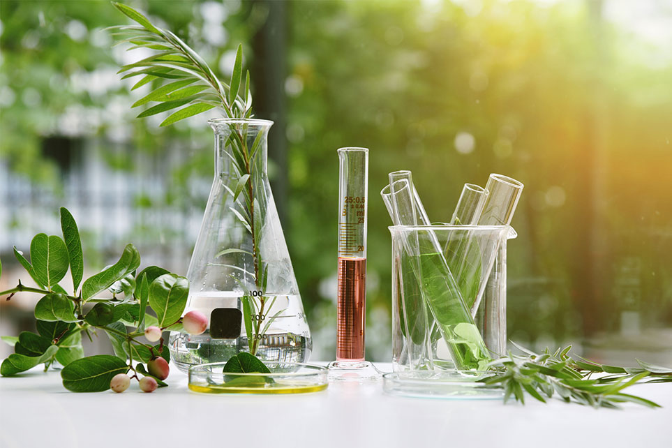 Skincare Actives Explained: Types and Benefits